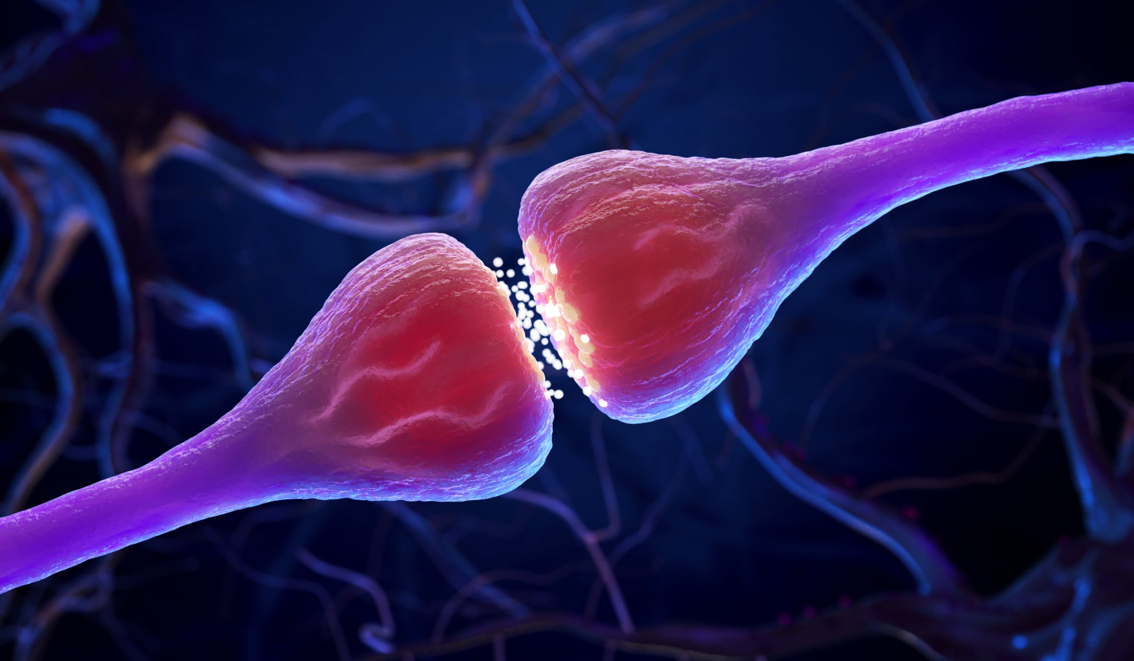 Illustration of a neuron and synapse transmitting a chemical signal.