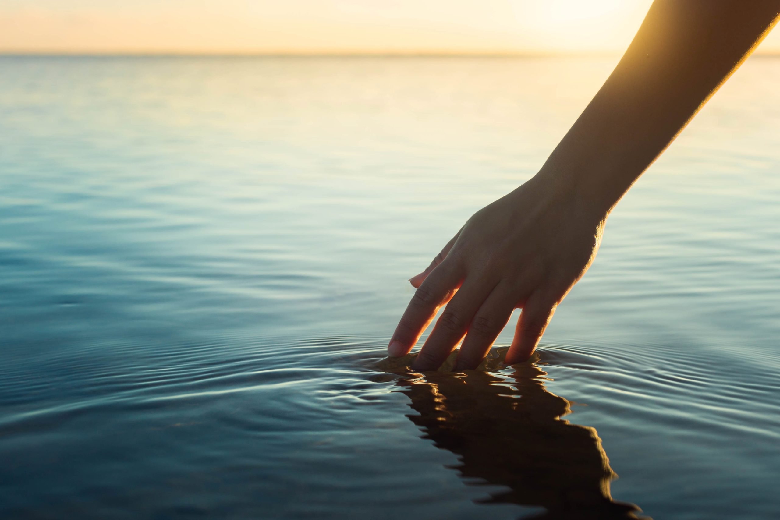 Why Choose Pandion Health for Trauma Care?